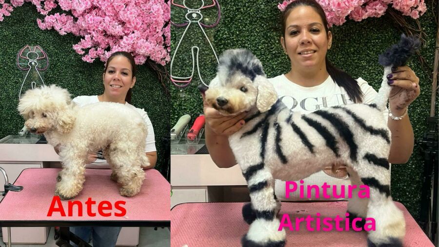 Imagem WhatsApp Image 2025-02-18 at 17.14.01